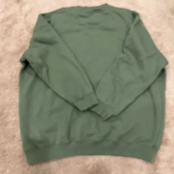 Anine Bing Sport Green Tyler Oversized Sweatshirt in Artichoke - Picture 7 of 7